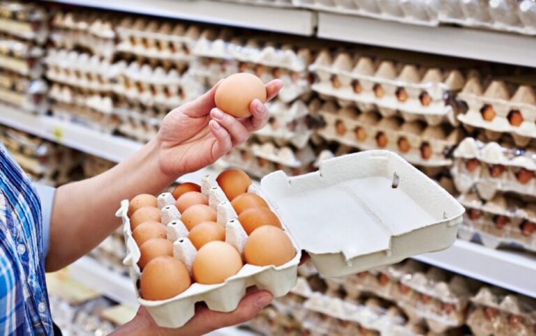 Como Montar Uma Pequena Distribuidora de Ovos na Sua Cidade